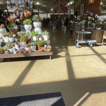 Pike Nurseries - the inside of a store - Nurseries & Gardening Near Me - Atlanta, Georgia Pike Nurseries - the inside of a store - Nurseries & Gardening Near Me - Atlanta, Georgia
