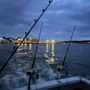 Photo of Connemara Bay Fishing Charters