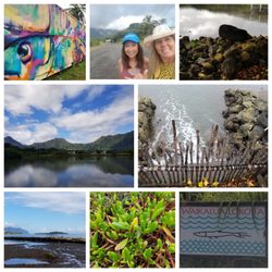 Waikalua Loko Ia - Great morning tour of hidden paradise