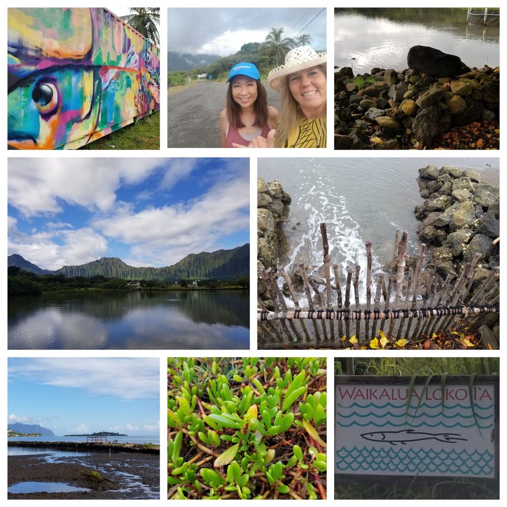 WAIKALUA LOKO IA 15 Photos 45233 Kulauli St, Kaneohe, Hawaii