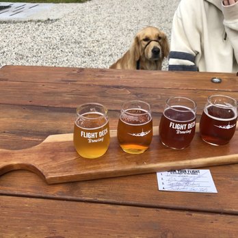 Flight Deck Brewing - Nice flight of beer and our dog Harper - Breweries Near Me - Brunswick, Maine Flight Deck Brewing - Nice flight of beer and our dog Harper - Breweries Near Me - Brunswick, Maine