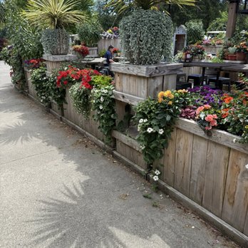 Bleachers Grill - Patio - New American Near Me - Marysville, Washington Bleachers Grill - Patio - New American Near Me - Marysville, Washington