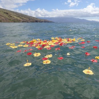 Aloha Ash Scattering - Funeral Services & Cemeteries Near Me