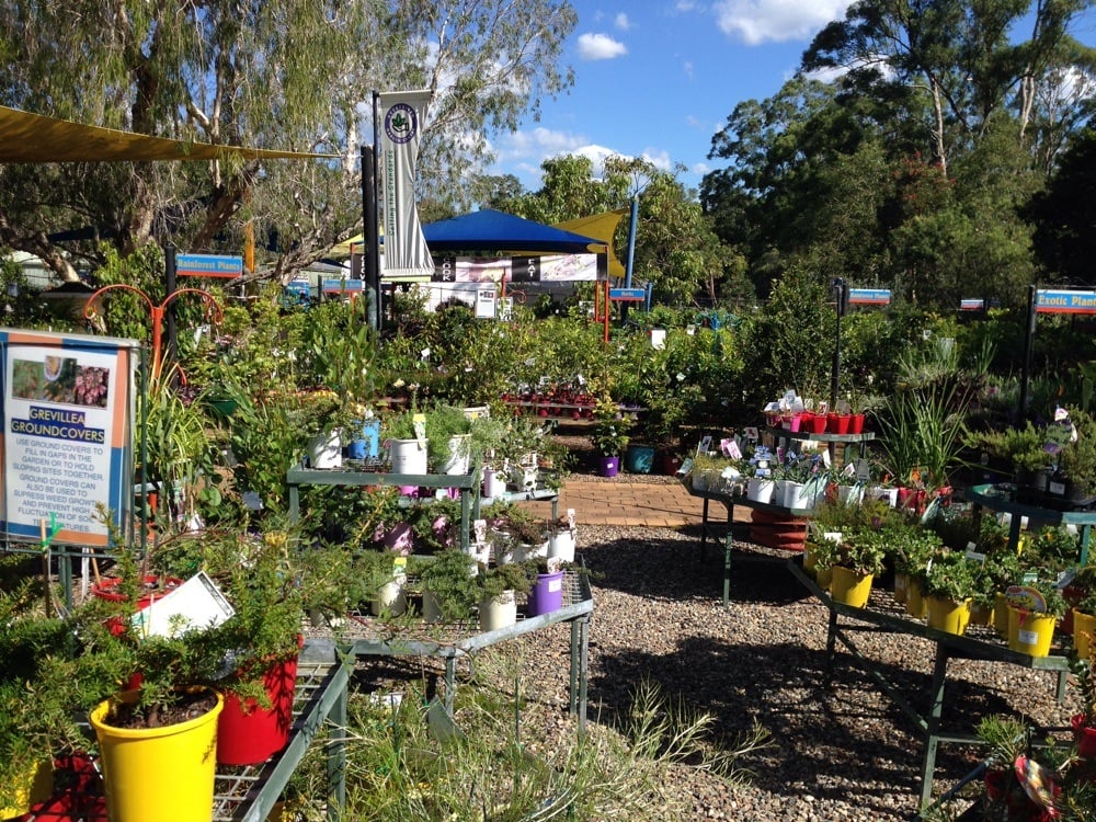 NIELSEN’S NATIVE NURSERY Updated July 2024 51 BeenleighRedland Bay