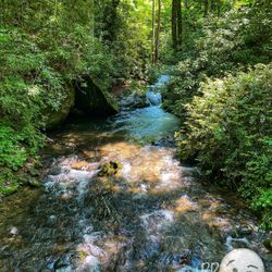 Smoky Mountain Campground/ Deep Creek Tubes