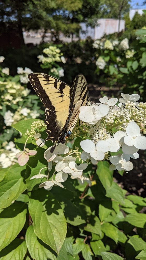 GLYNDON GARDENS Updated August 2024 205 Hanover Pike, Reisterstown