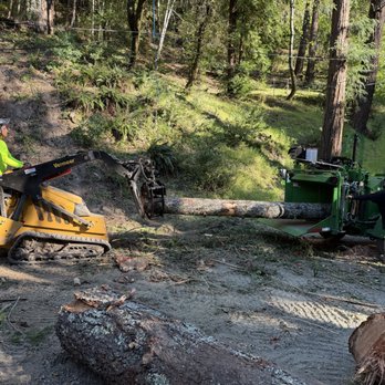 Treecs - Tree Removal - Tree Services Near Me - Santa Rosa, California Treecs - Tree Removal - Tree Services Near Me - Santa Rosa, California