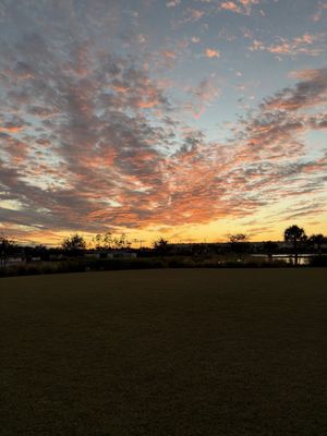 Paradise Coast Sports Complex by null