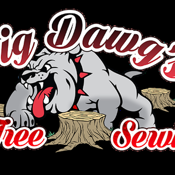 Big Dawgs Tree Service - Tree Services Near Me Big Dawgs Tree Service - Tree Services Near Me