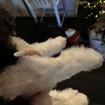 Two Paws Up - after - Pets Near Me - Modesto, California
