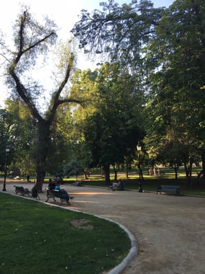 Parque Forestal by null