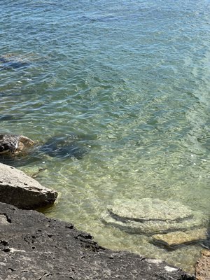 Newport State Park by null