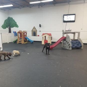 Lucky Dog Daycare - Pet Groomers Near Me - Lisle, Illinois Lucky Dog Daycare - Pet Groomers Near Me - Lisle, Illinois