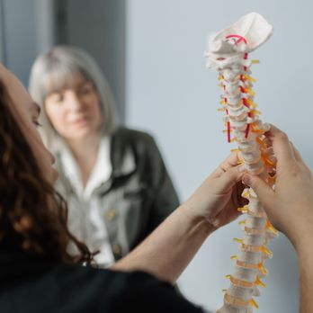 Cadence Chiropractic - education is the most important thiong when it comes to spinal health - Chiropractors Near Me - American Fork, Utah Cadence Chiropractic - education is the most important thiong when it comes to spinal health - Chiropractors Near Me - American Fork, Utah