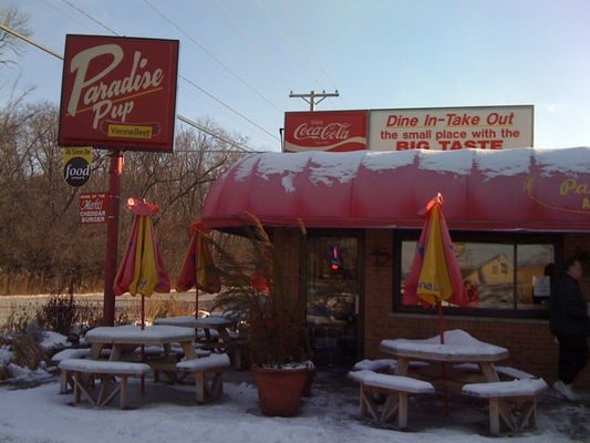 Paradise Pup by null