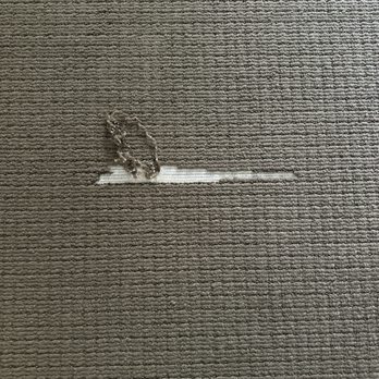 Traffic Carpet Care - Carpet Cleaning Near Me - Los Angeles, California