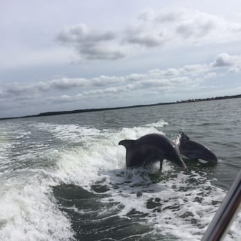 Dreamlander Tours - Fishing Near Me - Goodland, Florida