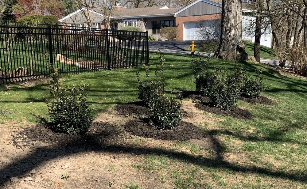 SHADEMASTER NURSERY TEMP. CLOSED 30 Photos 4401 W 90th St