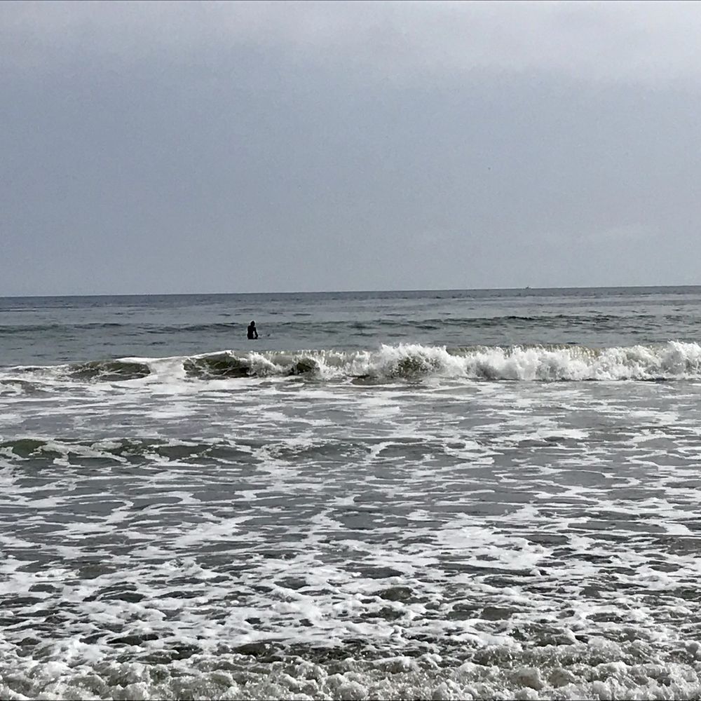 Malibu Makos Surf Club | S. California Surf Lessons and Surf Camp, image size:1000x1000