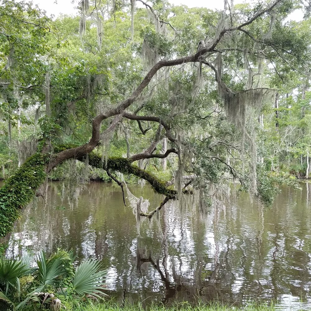Live Oak Landing - Campgrounds Near Me - Freeport, Florida Live Oak Landing - Campgrounds Near Me - Freeport, Florida