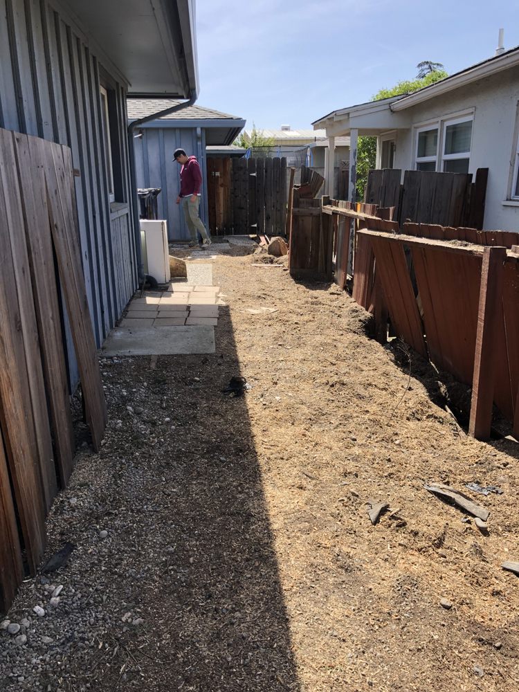 JOE’S TREE SERVICE Updated September 2024 14 Photos & 10 Reviews