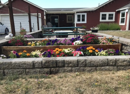 Yard Maintenance - Many of us have busy lives and don't have time to spend keeping our yard in top condition. Whether you need help pulling those unsightly weeds, mowing your lawn or staining your deck, our lawn maintenance service will be there to help you. Then you can sit back, relax and enjoy your beautiful yard.
Give us a call today. Yard Maintenance - Many of us have busy lives and don't have time to spend keeping our yard in top condition. Whether you need help pulling those unsightly weeds, mowing your lawn or staining your deck, our lawn maintenance service will be there to help you. Then you can sit back, relax and enjoy your beautiful yard.
Give us a call today.