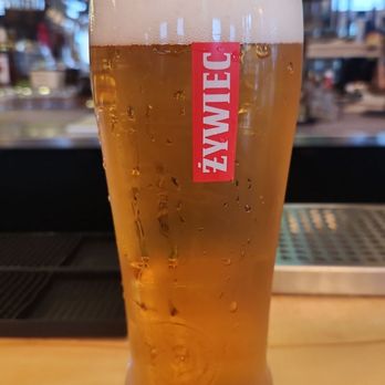 Pierogi Kitchen - Kufel Żywca (a pint of Żywiec beer) - Polish Near Me - Chicago, Illinois Pierogi Kitchen - Kufel Żywca (a pint of Żywiec beer) - Polish Near Me - Chicago, Illinois