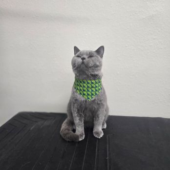 Happy Pet Grooming - Pet Groomers Near Me - Anaheim, California