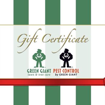 Green Giant Pest Control - Green Giant gift certificates are something everyone can use. - Pest Control Near Me - Fleetwood, Pennsylvania Green Giant Pest Control - Green Giant gift certificates are something everyone can use. - Pest Control Near Me - Fleetwood, Pennsylvania