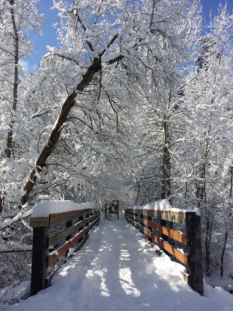 Mueller Park Image