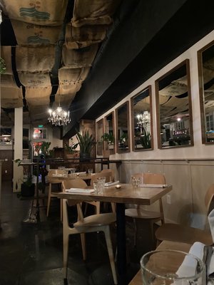 The Black Cypress by null