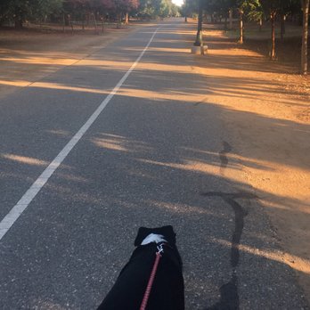 Railroad Park - Walked the connected trail, nicely paved area. Lots of joggers and bikers out. Really friendly people! - Parks Near Me - Clovis, California