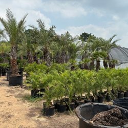 Rosehill Palms Landscaping & Garden Center