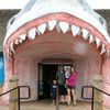 Sharky's gift card