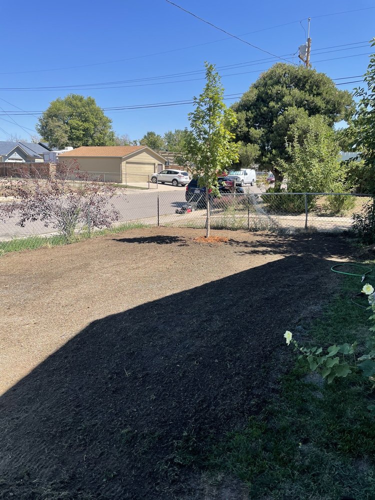 Superior Stump Removal and Land Care - tree service in Lakewood, CO