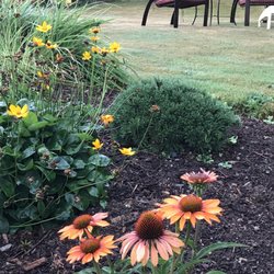 The Plant Place Nursery