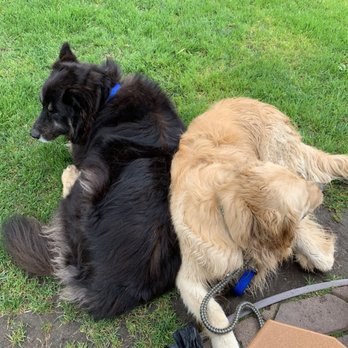 Padaro Beach Grill - Dog friendly - American Near Me - Carpinteria, California Padaro Beach Grill - Dog friendly - American Near Me - Carpinteria, California