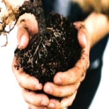 Green-Way Pro - Lawn Services Near Me - Montrose, Colorado Green-Way Pro - Lawn Services Near Me - Montrose, Colorado