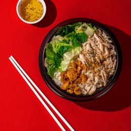 Shredded Chicken Noodle