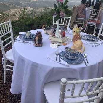 Newton Avocado Manor - Tea party setup - Session Photography Near Me - Temecula, California