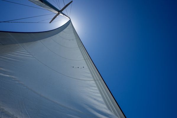 Sail Channel Islands by null