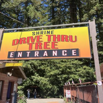 Shrine Drive Thru Tree - Landmarks & Historical Buildings Near Me - Meyers Flat, California