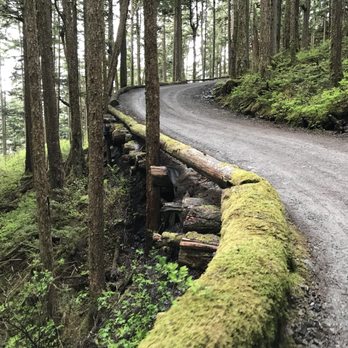 Glacier Gardens Rainforest Adventure - Botanical Gardens Near Me - Juneau, Alaska