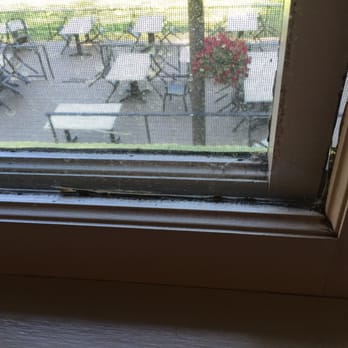 Morrisons Rogue Wilderness Lodge - Window sill. - Rafting/Kayaking Near Me - Merlin, Oregon Morrisons Rogue Wilderness Lodge - Window sill. - Rafting/Kayaking Near Me - Merlin, Oregon