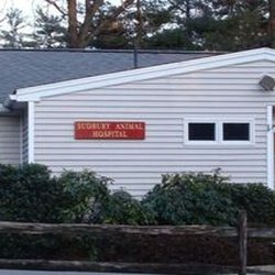 Sudbury Animal Hospital