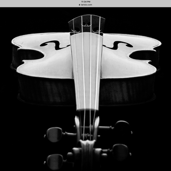 String Theory Violins - Nicolo Amati Grand Pattern Violin - Musical Instruments & Teachers Near Me - Rochester, Minnesota