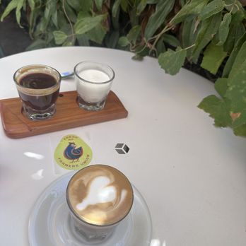 Farmers Union Coffee Roasters - Espresso & cortado on the outside patio - Coffee & Tea Near Me - Eugene, Oregon