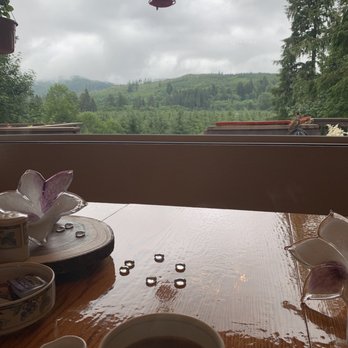Misty Valley Inn B & B - View from breakfast table - Hotels Near Me - Forks, Washington