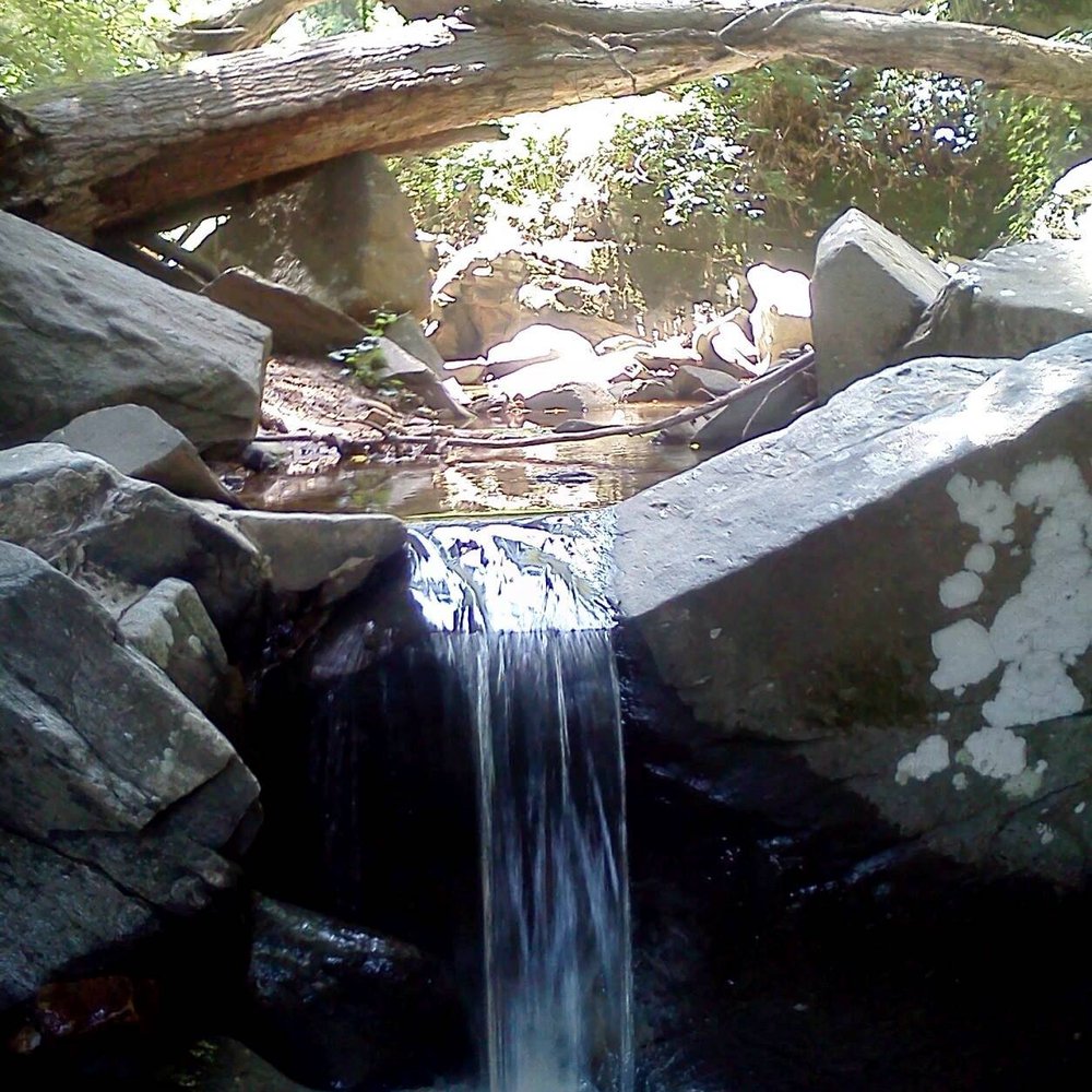 Potomac Overlook Regional Park - Mini Donaldson Run waterfall just off one of the trails. - Parks Near Me - Arlington, Virginia Potomac Overlook Regional Park - Mini Donaldson Run waterfall just off one of the trails. - Parks Near Me - Arlington, Virginia