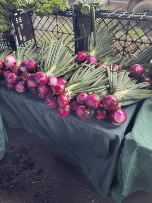 Placergrown Farmers' Market, Fountains at Roseville by null